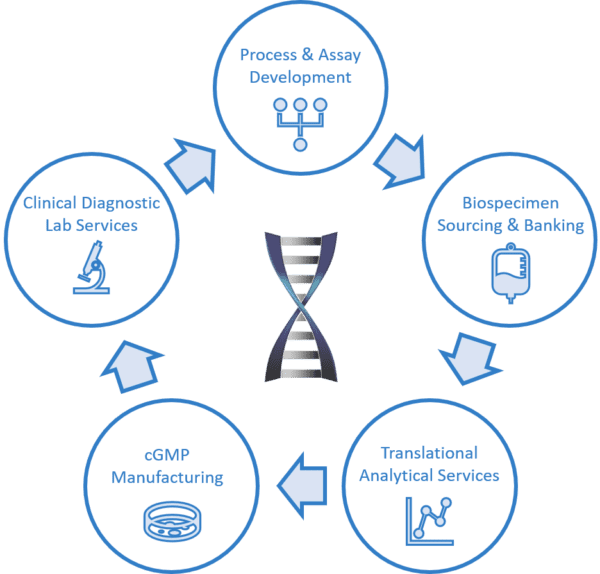 HAL Services Graphic Updated (2) HAL Services Graphic